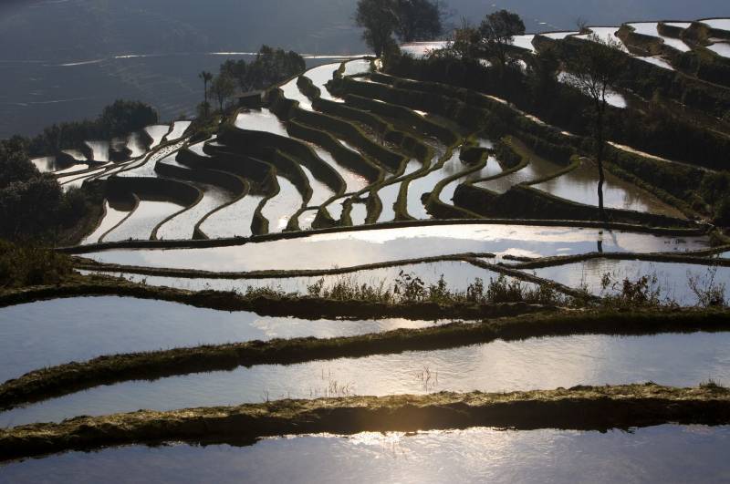 大山里层层叠叠的梯田图片