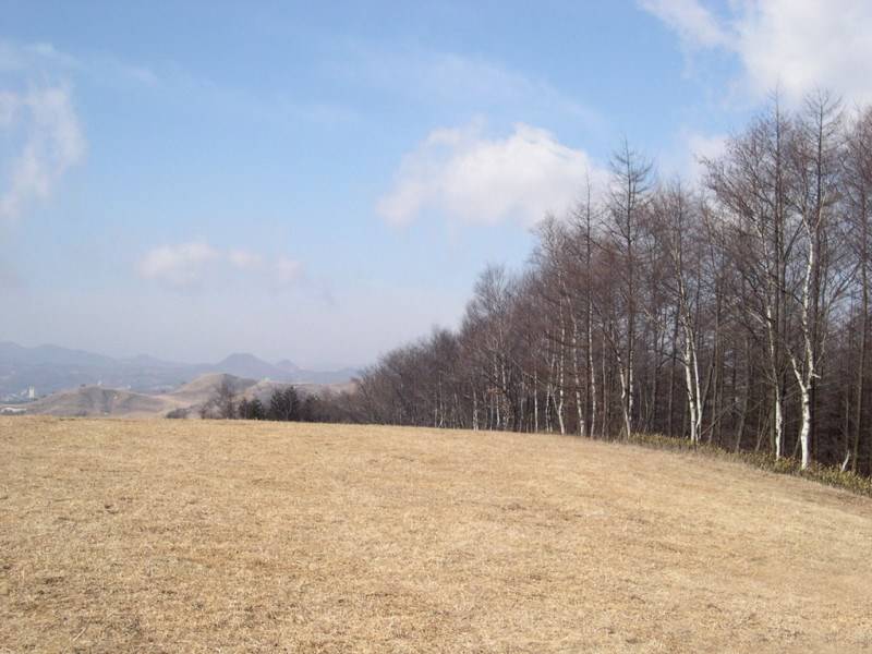 迷人的乡村田野高清风景壁纸