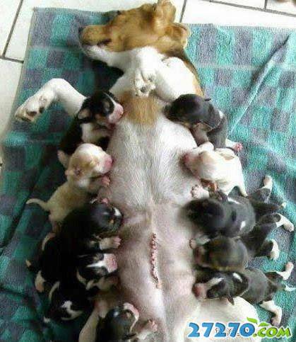 每日爆笑 好朋友一起用