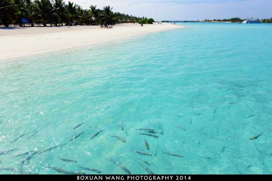 马尔代夫海岸美景观赏