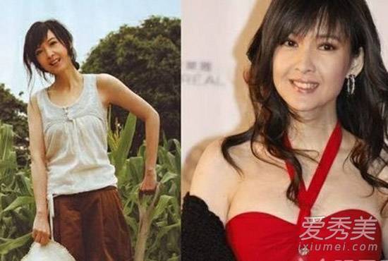 平胸秒变豪乳 女星真假胸器大盘点(9)