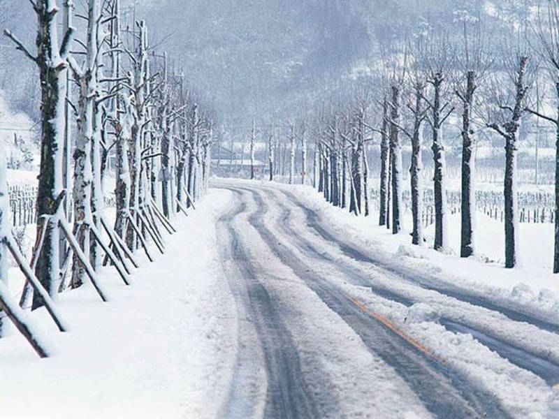 宁静的道路美景图片