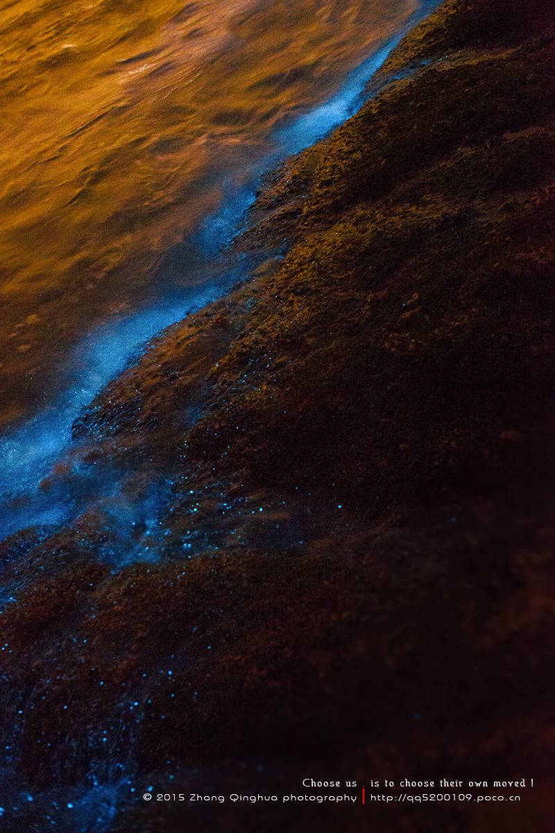 珠海荧光赤潮美景