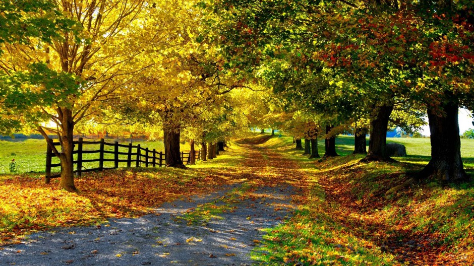 秋天唯美大自然风景图片桌面壁纸