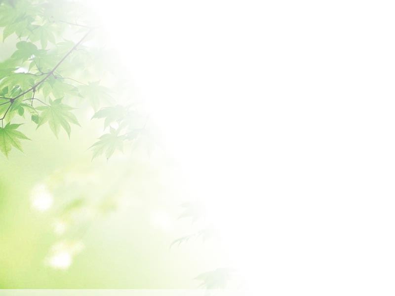 qq个性名片背景图片9张 淡雅美丽