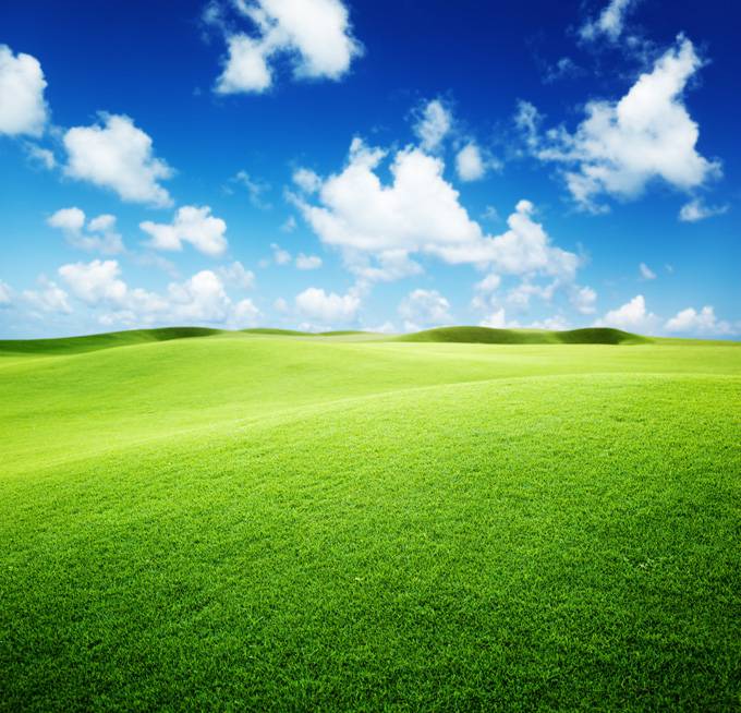 蓝天白云下的草地背景图片素材