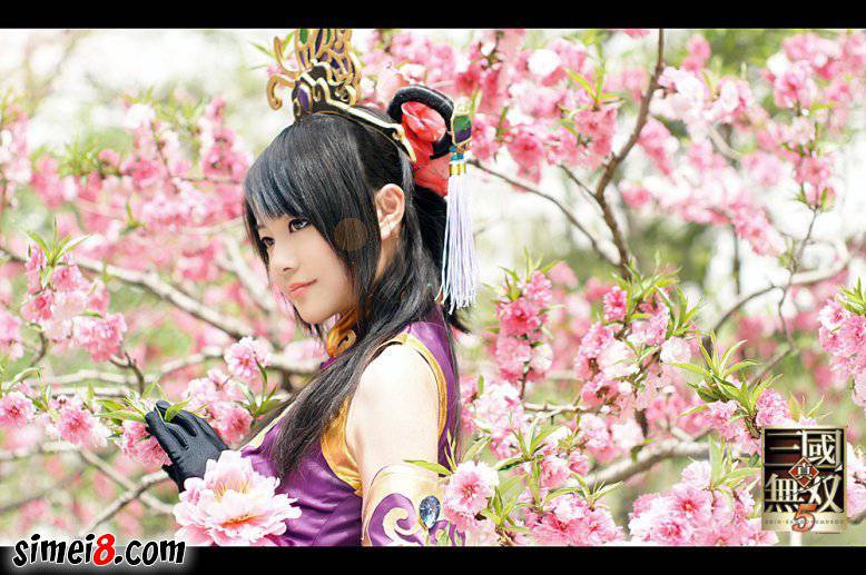 真三国无双梅花貂蝉cosplay图片