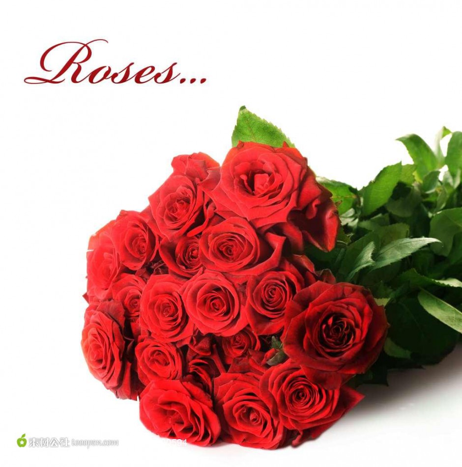 一束红红火火的玫瑰花图片素材
