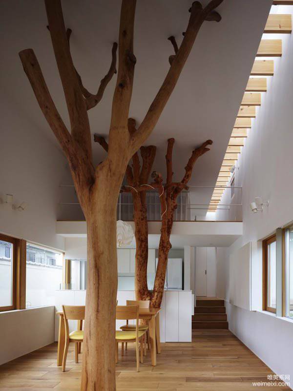 自然与现代的精美房屋设计效果图