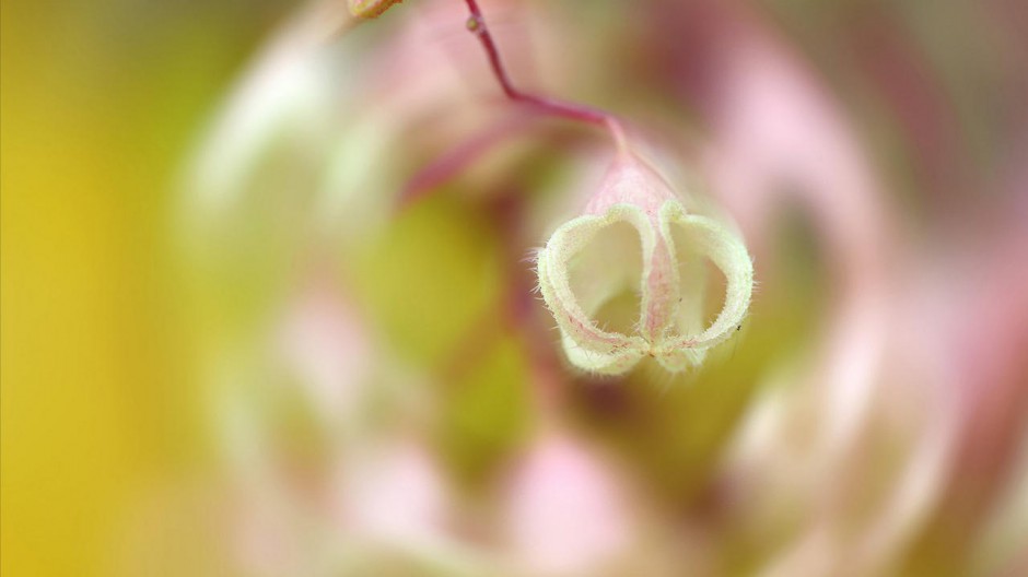 电脑桌面壁纸高清风景大全