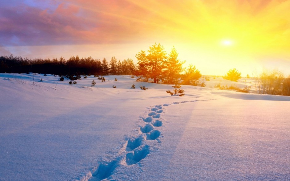 雪景主题小清新护眼电脑桌面壁纸