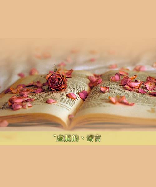意境书与玫瑰花图片英语书赏析