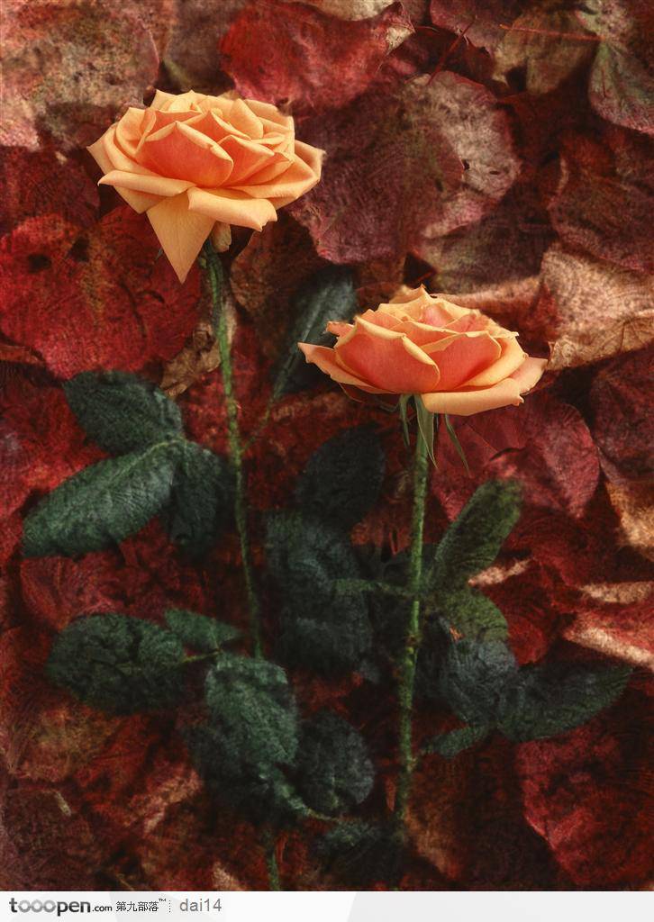 唯美鲜花黄玫瑰艺术插花图片素材