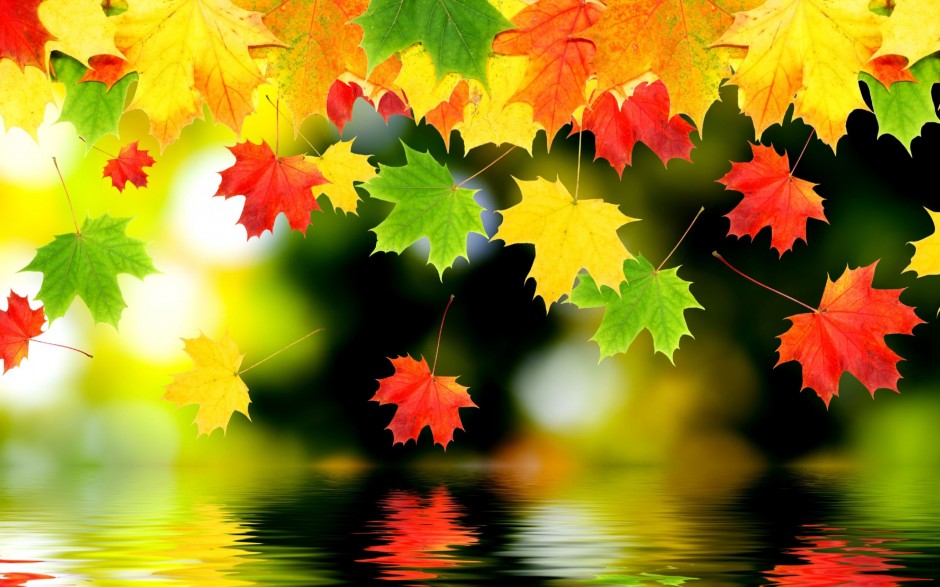 最漂亮的秋天枫叶ppt背景图片