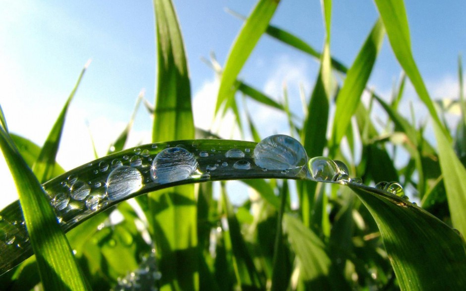 清新雨露浪漫风景个性高清电脑壁纸