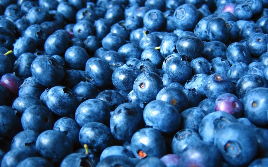可爱蓝莓水果精美电脑壁纸