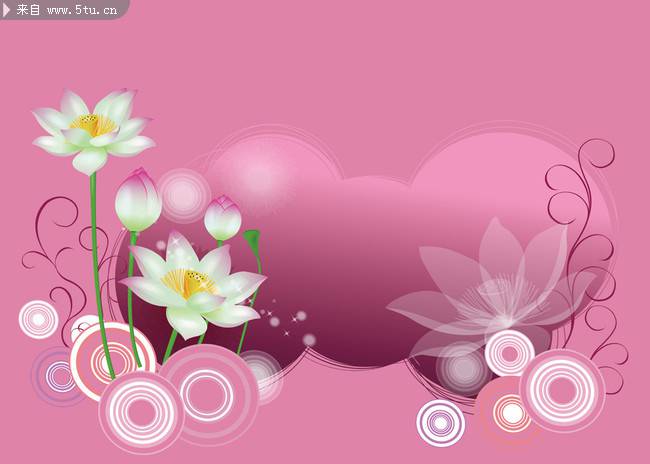 简单精美的粉色莲花背景图片