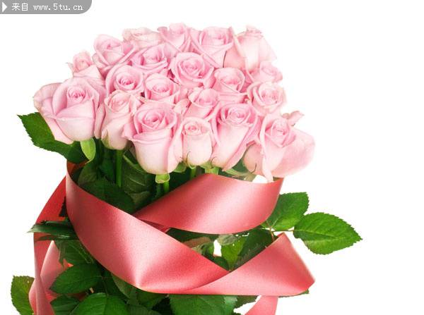 一束粉玫瑰花卉高清图片素材
