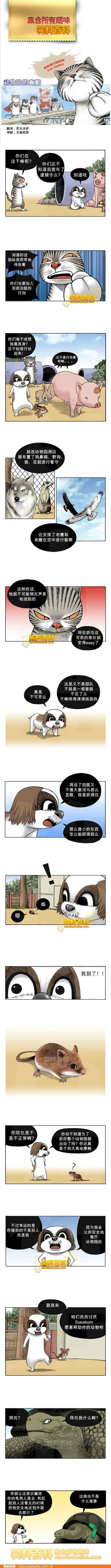 邪恶漫画爆笑囧图第314刊：试试看