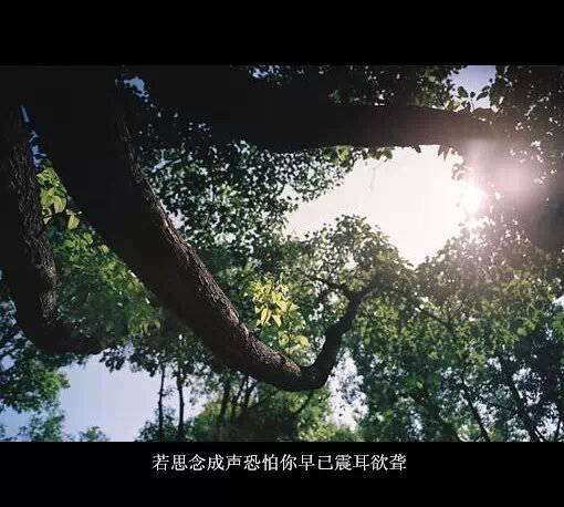 伤感意境图片个性带字