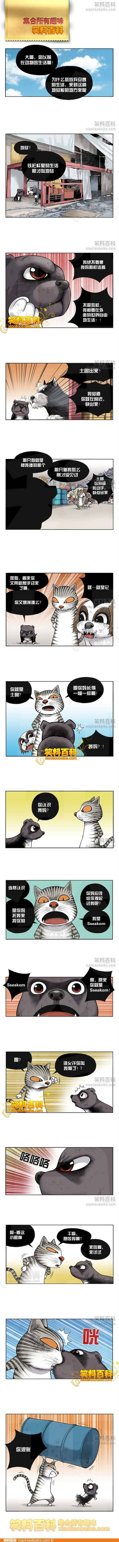 邪恶漫画爆笑囧图第269刊：新睡美人的故事
