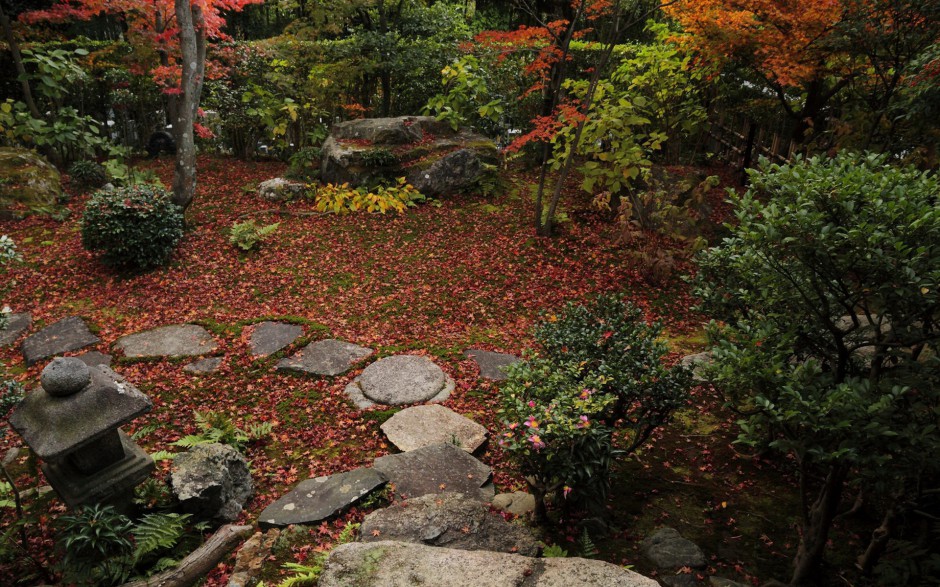 秋日萧瑟浪漫红枫叶飘落唯美风景