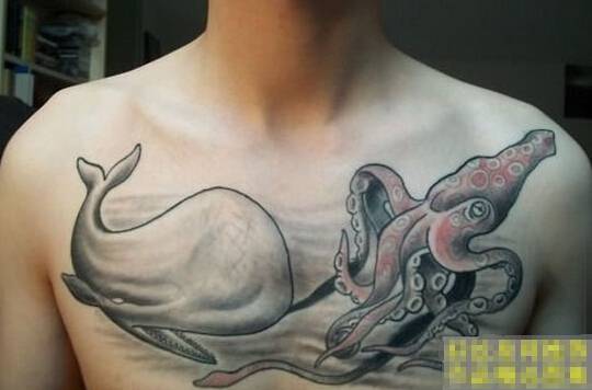 男人胸部的章鱼纹身图片大全