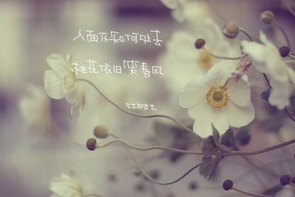 2016最新唯美意境非主流带字图片