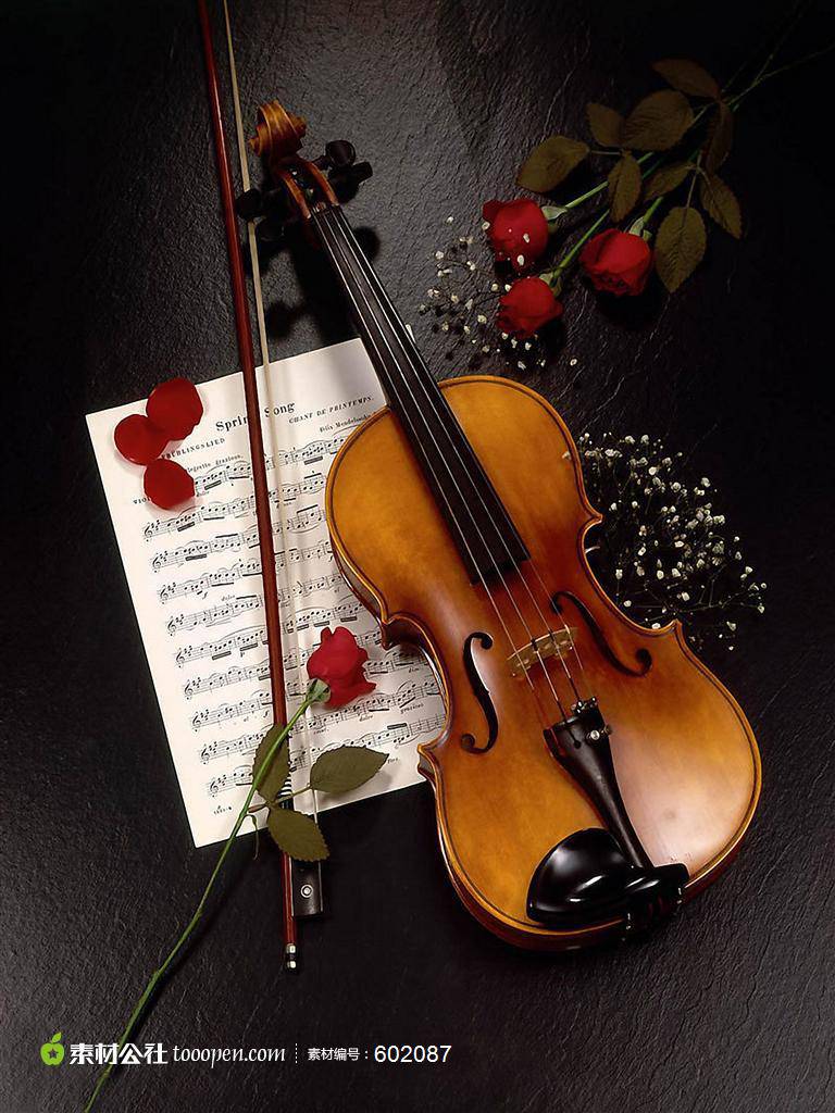 玫瑰花和小提琴唯美图片