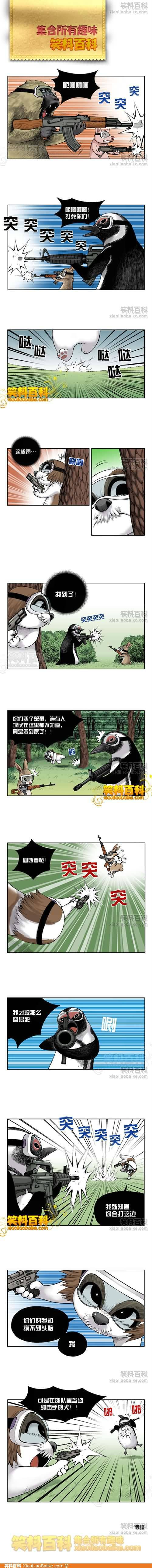 邪恶漫画爆笑囧图第277刊：岂敢戏弄我