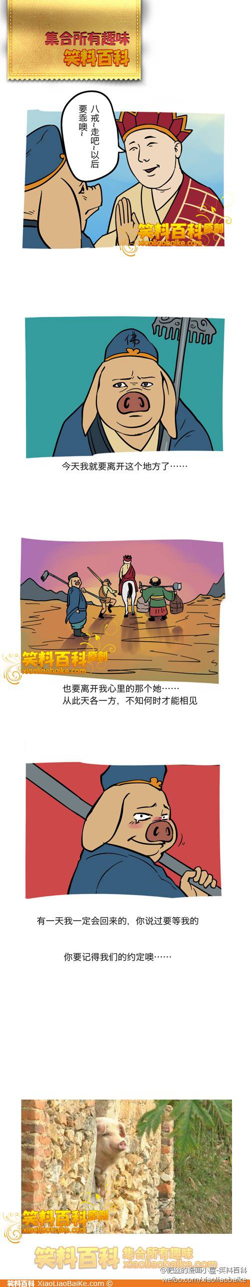 邪恶漫画爆笑囧图第61刊：无奈