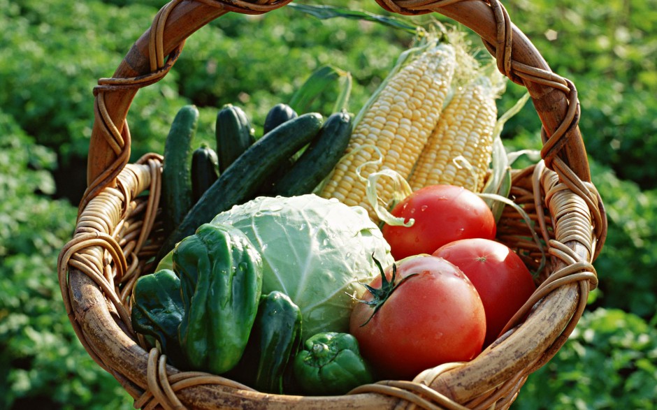 绿色健康诱人蔬菜精选图片