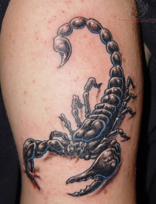 手臂霸气蝎子纹身图案大全