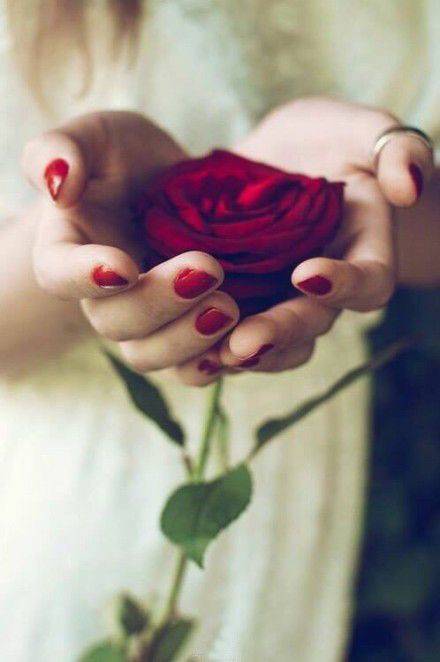手捧的不是玫瑰而是对你的爱