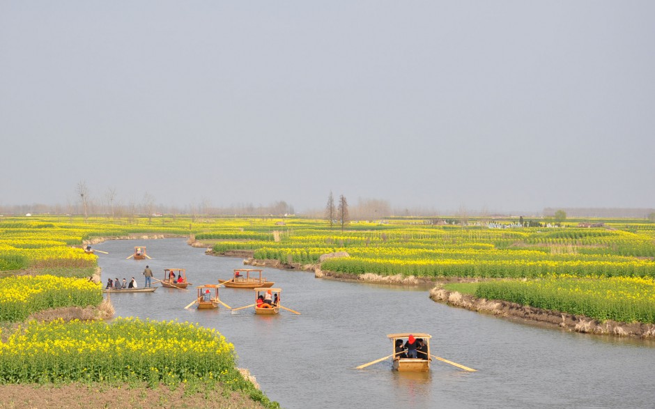 油菜花花田浪漫风景高清精美图集