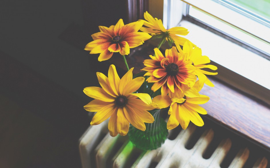 清新简洁插花壁纸