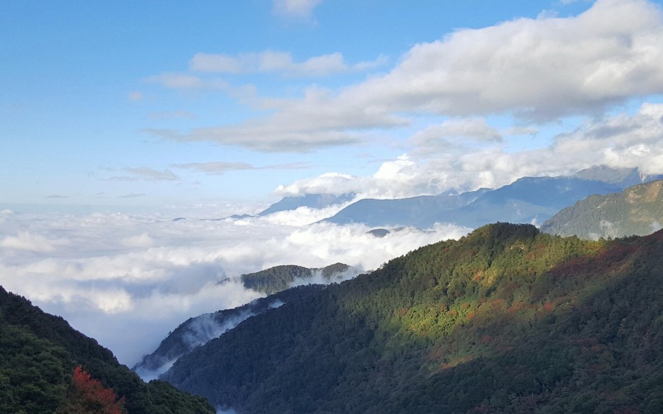 云海阿里山风景精美电脑壁纸