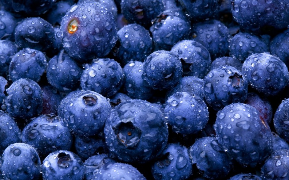 可爱蓝莓水果精美电脑壁纸