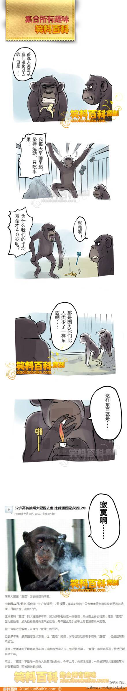 邪恶漫画爆笑囧图第35刊：舞蹈