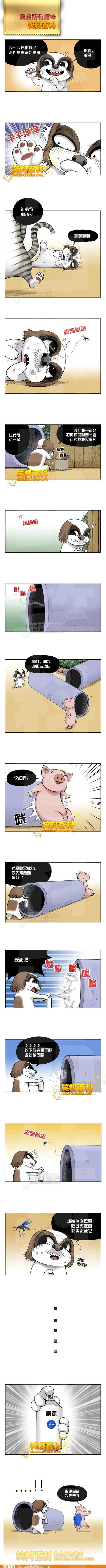 邪恶漫画爆笑囧图第281刊：偷内裤的小偷