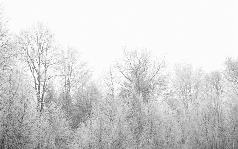 雪景唯美冬季风情精美桌面壁纸