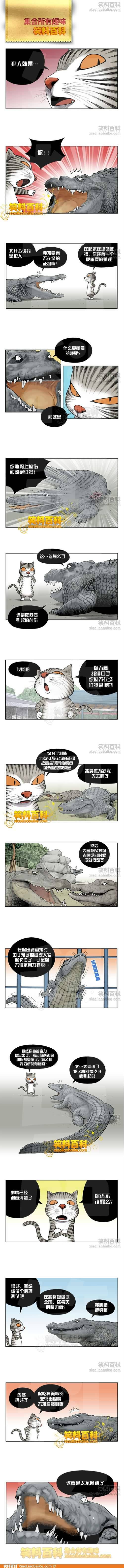 邪恶漫画爆笑囧图第261刊：新龟兔赛跑