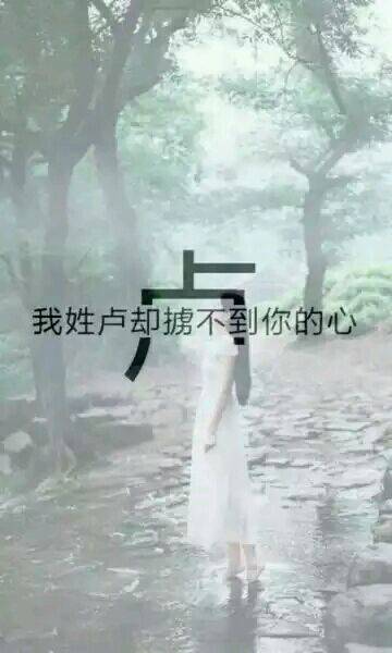 我姓卢伤感意境图片带字