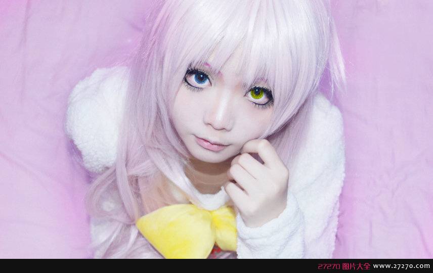 史上最性感的萌猫COS