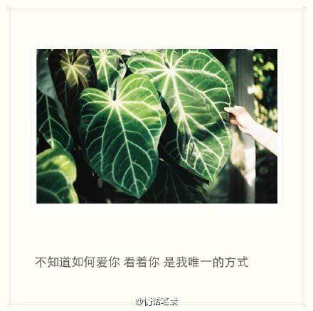 带字图片伤感意境女生背影