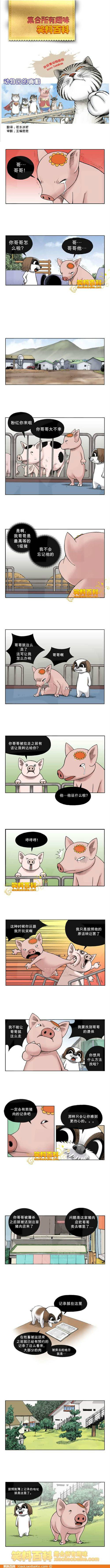 邪恶漫画爆笑囧图第311刊：不要吓我呀
