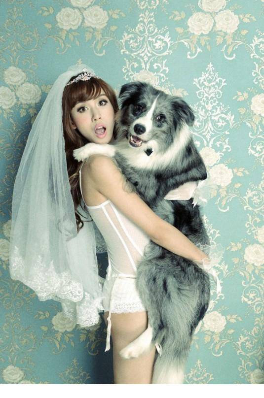 中国美女名模阳巧玥携宠物狗拍性感写真