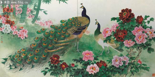 国画美丽的孔雀与牡丹花图片