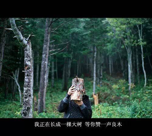 伤感意境图片个性带字