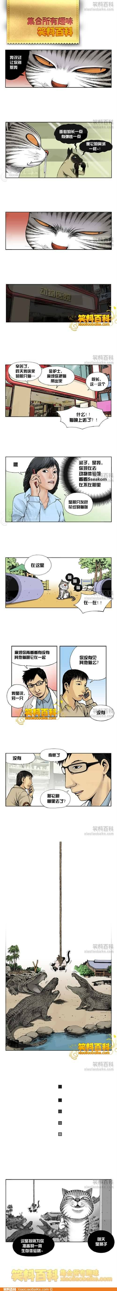 邪恶漫画爆笑囧图第279刊：搞笑的夫妻